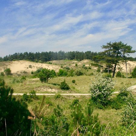 Bed & Breakfast Tegenover De Molen Χάαρλεμ Εξωτερικό φωτογραφία